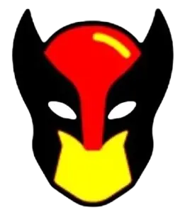 software image